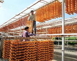 Drying persimmons in peak season
